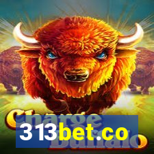 313bet.co