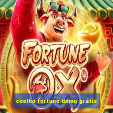 coelho fortune demo grátis