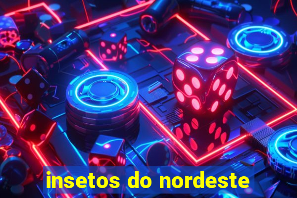 insetos do nordeste