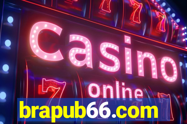 brapub66.com