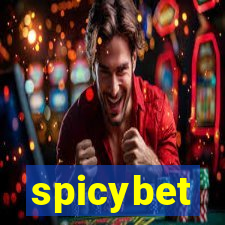 spicybet-2.com